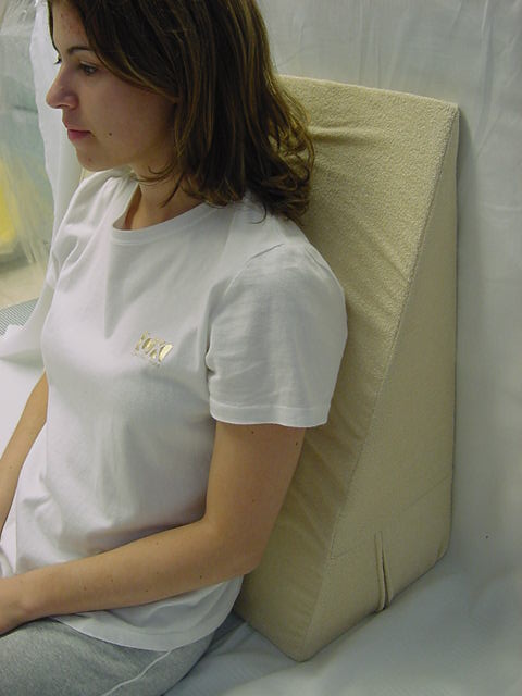 Medical Back Wedge backwedge2